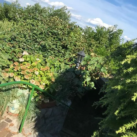 Lavanda 公寓 马图利