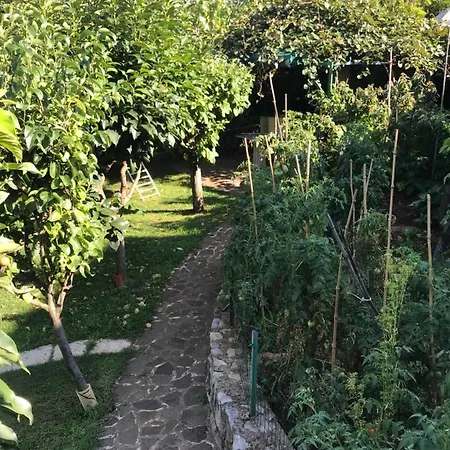 Apartment Lavanda Matulji